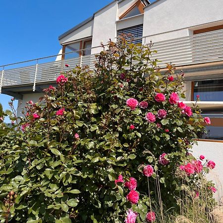 Ferienwohnungen Im Rosengarten Bodman-Ludwigshafen Extérieur photo