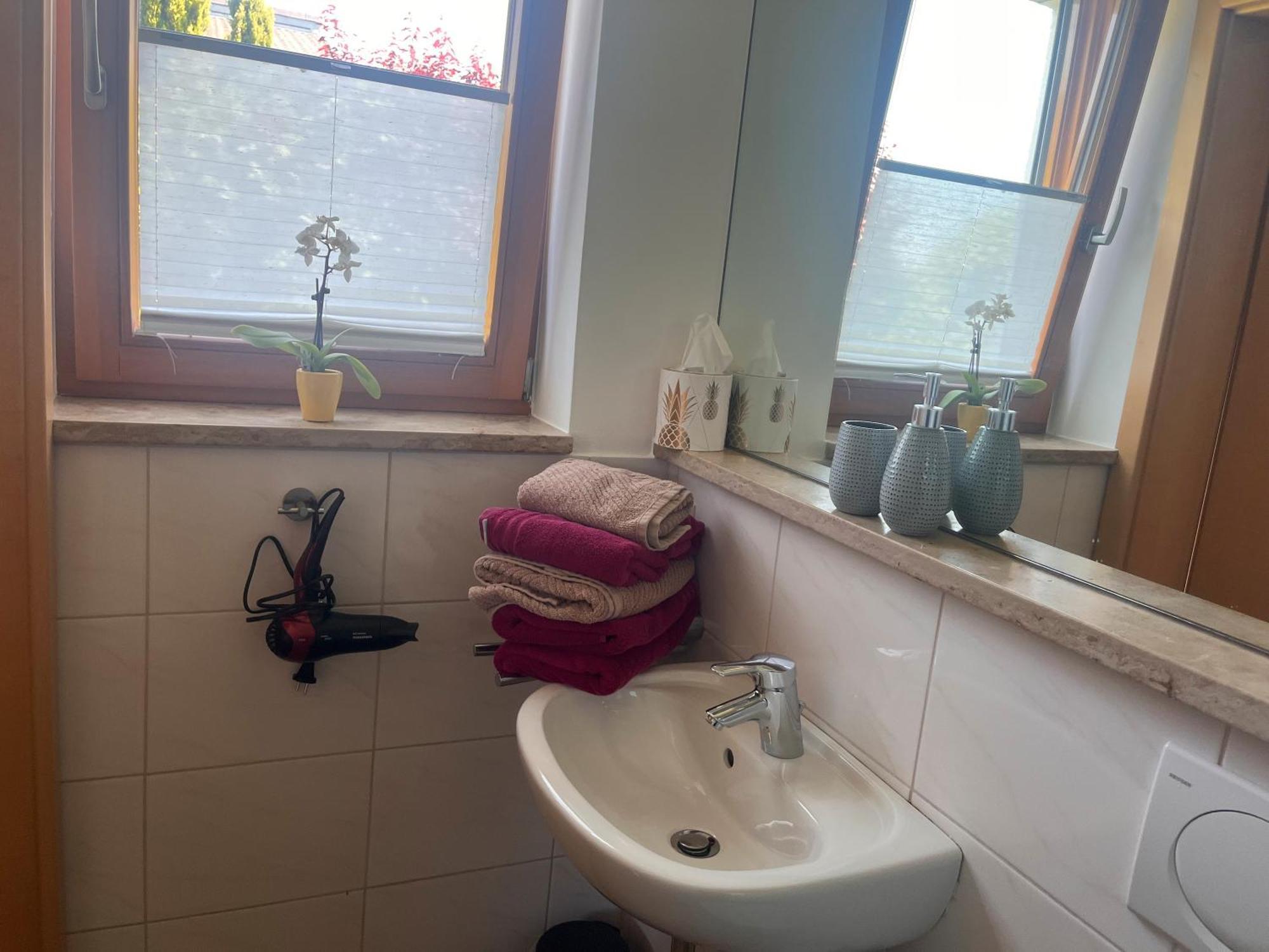 Ferienwohnungen Im Rosengarten Bodman-Ludwigshafen Extérieur photo