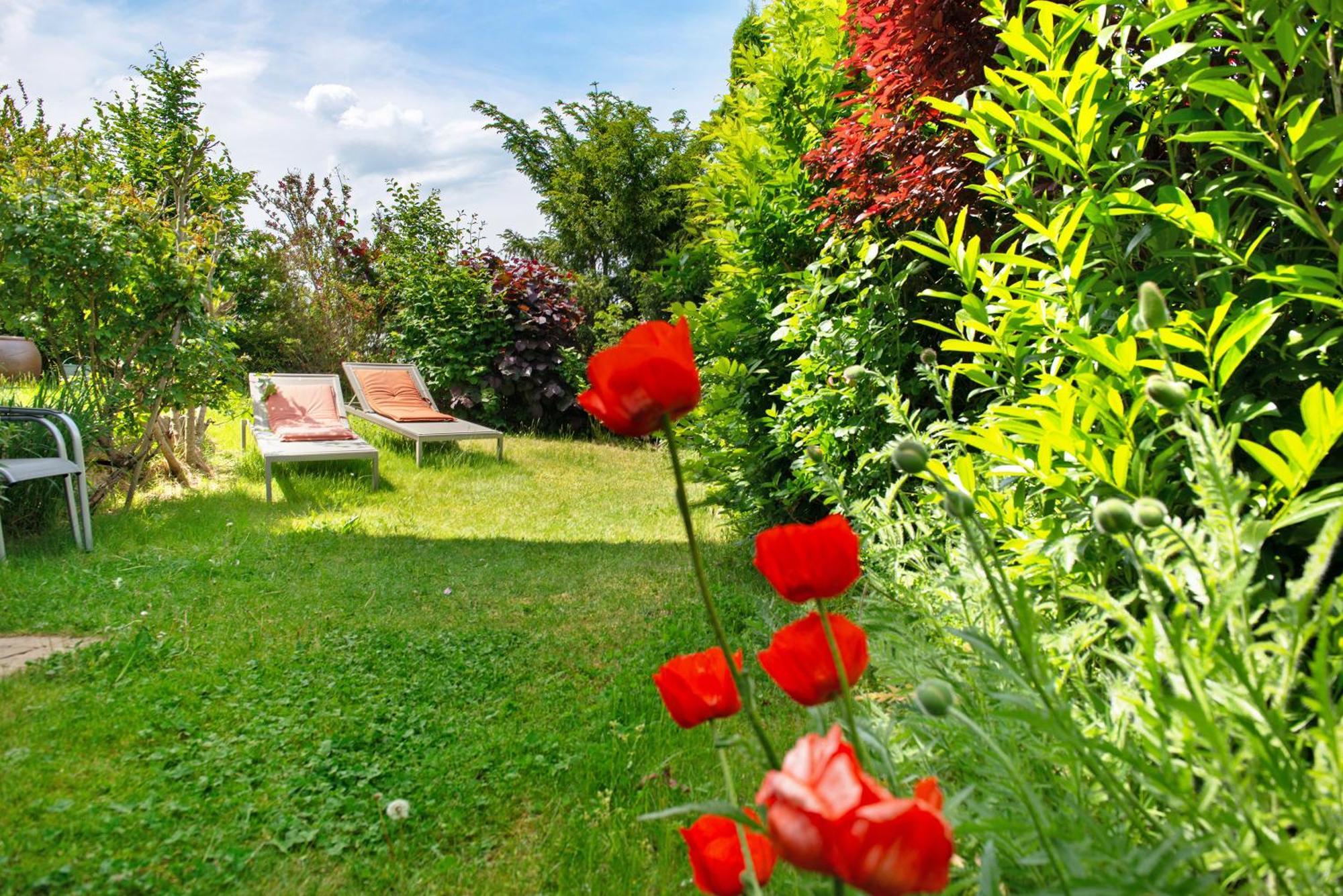 Ferienwohnungen Im Rosengarten Bodman-Ludwigshafen Extérieur photo